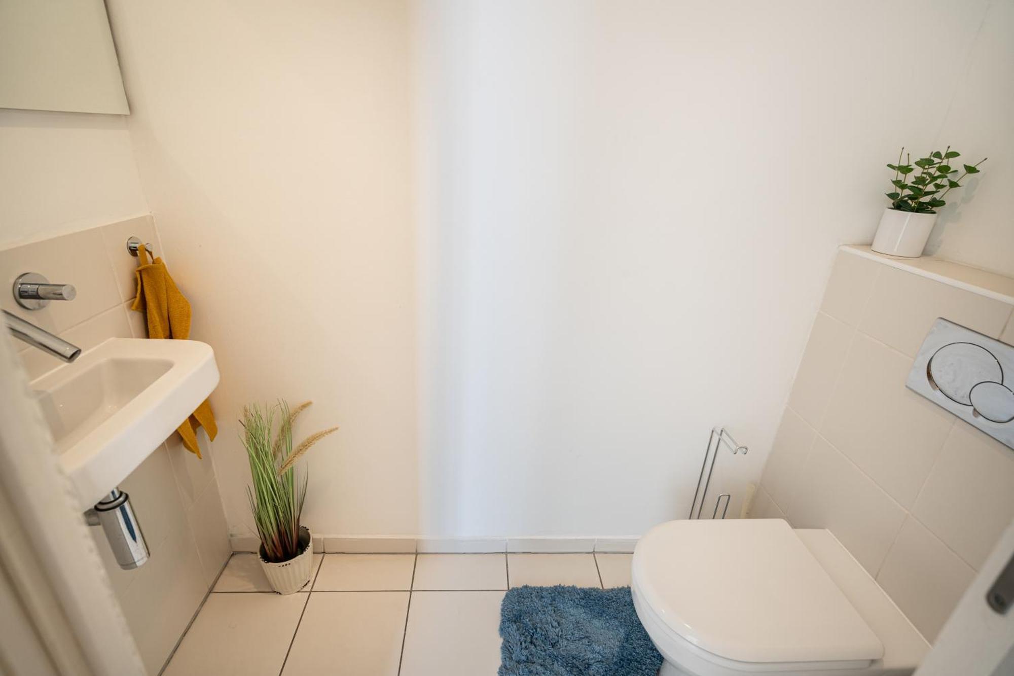 Apartamento Paulay Private *